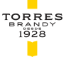 logo brand